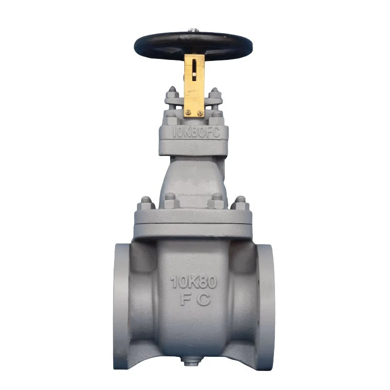 BS 5152 PN16 CAST IRON GLOBE VALVE