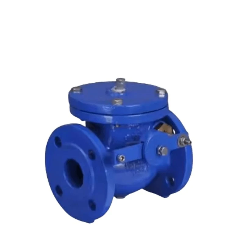 Grade 125 Cast Iron Check Valve
