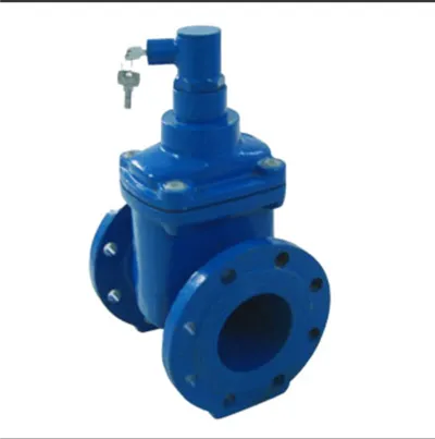 Ductile Iron Anti-theft Flange Gate Valve