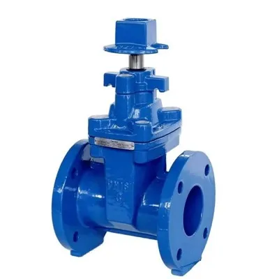 Cast Iron Concealed Stem Flange Gate Valve