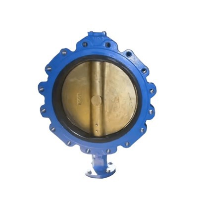 Vacuum Application Butterfly Valve