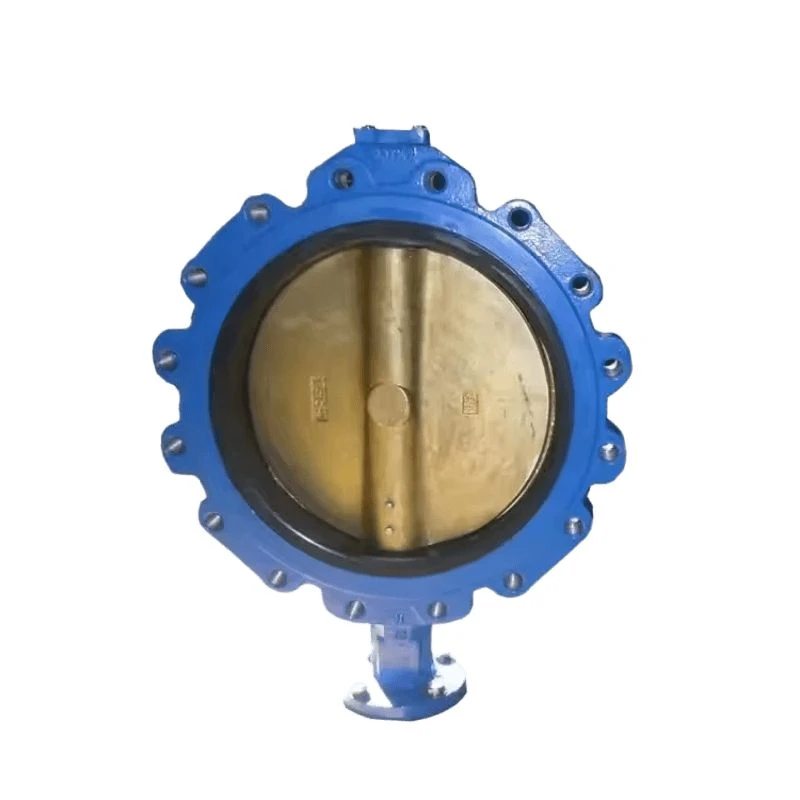 Vacuum Application Butterfly Valve